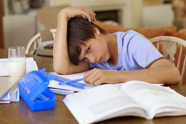 TreehouseSpain's tweet photo. “No hay evidencia de que la cantidad de deberes mejora el rendimiento académico de los estudiantes de primaria.” Esta declaración, realizada por  Harris Cooper, de la Universidad de Duke. Mas información en nuestro facebook. 
#TreehouseSpain #Deberes #Tareasencasa #Profesores https://t.co/OCZbjBO6NM