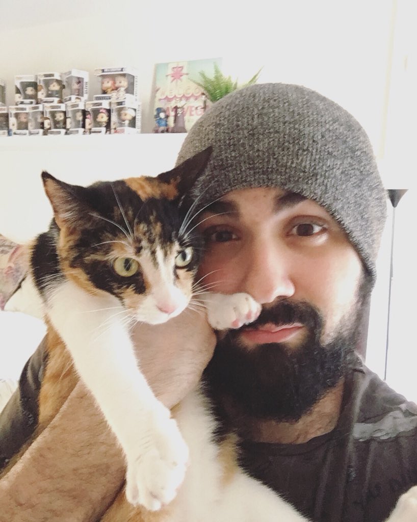 adrixu00's tweet photo. Celebrando nuestro primer #DíaInternacionalDeGato con estas dos preciosidades. 😼🧔🏻😸 #RumiCarter #BlueCarter https://t.co/QhAse9VTXv