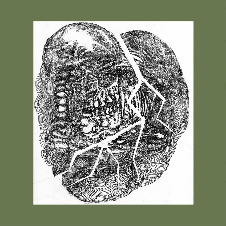 The Owl🦉Logan Square tweet media