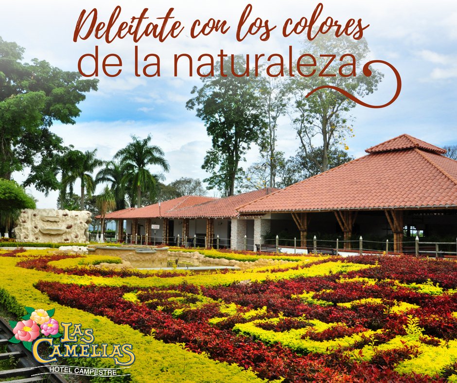 Déjate envolver por la #naturaleza y por sus bellos colores y deja que tus ojos se deleiten con los bellos espacios del #HotelCampestre #LasCamelias 

#jardides #viajes #color #vida #zonasverdes #naturaleza  #Montenegro #Quindío #destinocafé #RutasPCC 

camelias.com.co
