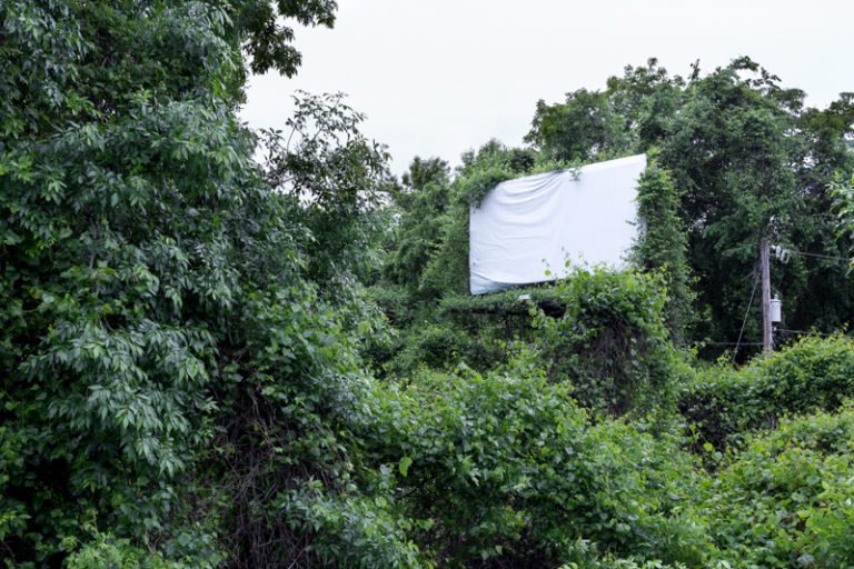 UIowaArt's tweet photo. CONGRATS alum Joshua McDevitt (MFA Photography, 2016) who is featured in "Ain't Bad" magazine. Joshua also had a solo exhibition "Orientation: Unsure", at Clamp Light Gallery in San Antonio, TX.
https://t.co/FJXnYYRRmD
#UIowaArt #UIowaPhoto #UIowa
@UIAdvancement @UIGradCollege https://t.co/nCRFb49sQL