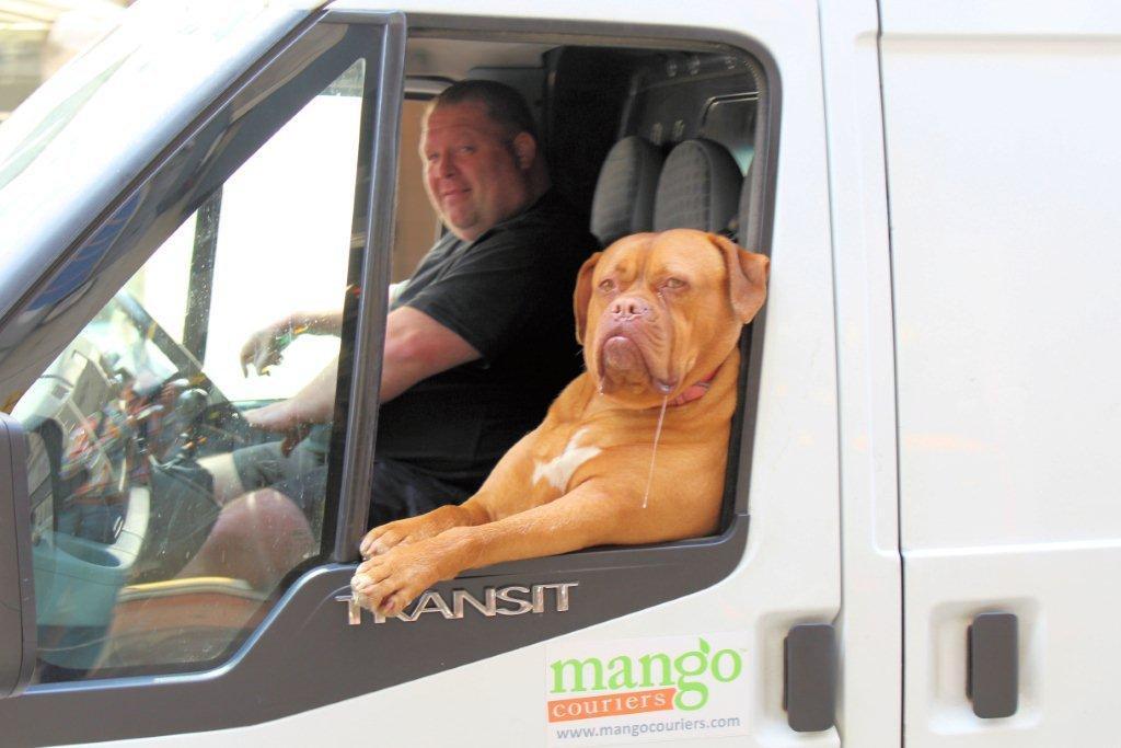 We bring you the most chilled dog on the road with his owner on #LoveYourPetDay https://t.co/1Sd81ZF7n0