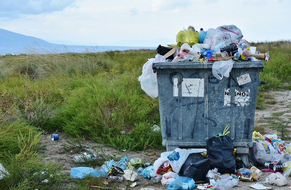 JHUNewsLetter's tweet photo. As only 10% of plastic is recycled, junior Managing Editor Kelsey Ko says the only way to create a cleaner, greener earth is to reduce waste.
https://t.co/P5zRVrqUpK https://t.co/mIfLLUXaMp