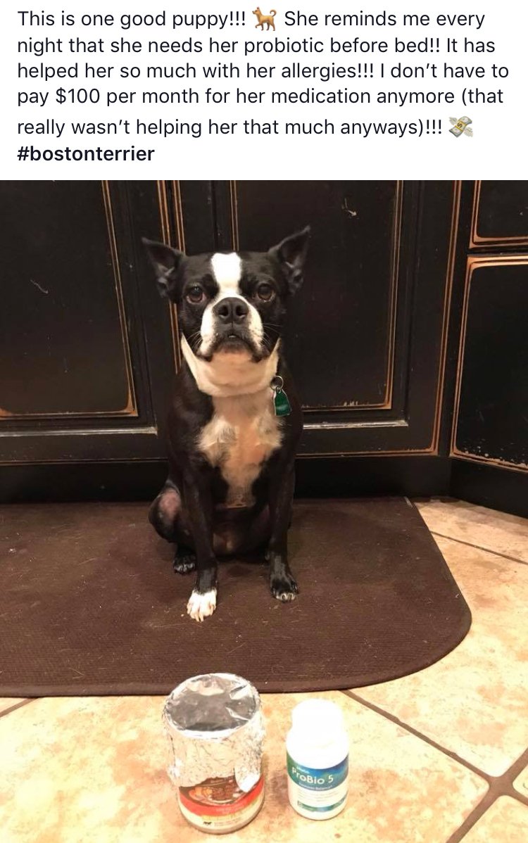 BlankMama's tweet image. Who has fur babies?! 🐶🐱🐷🐯🦁 My good friend Nichole Rammel knows what’s best for her pup!! (And her wallet!)

#moneysaver #byebyeallergies #plexusisforEVERYONE