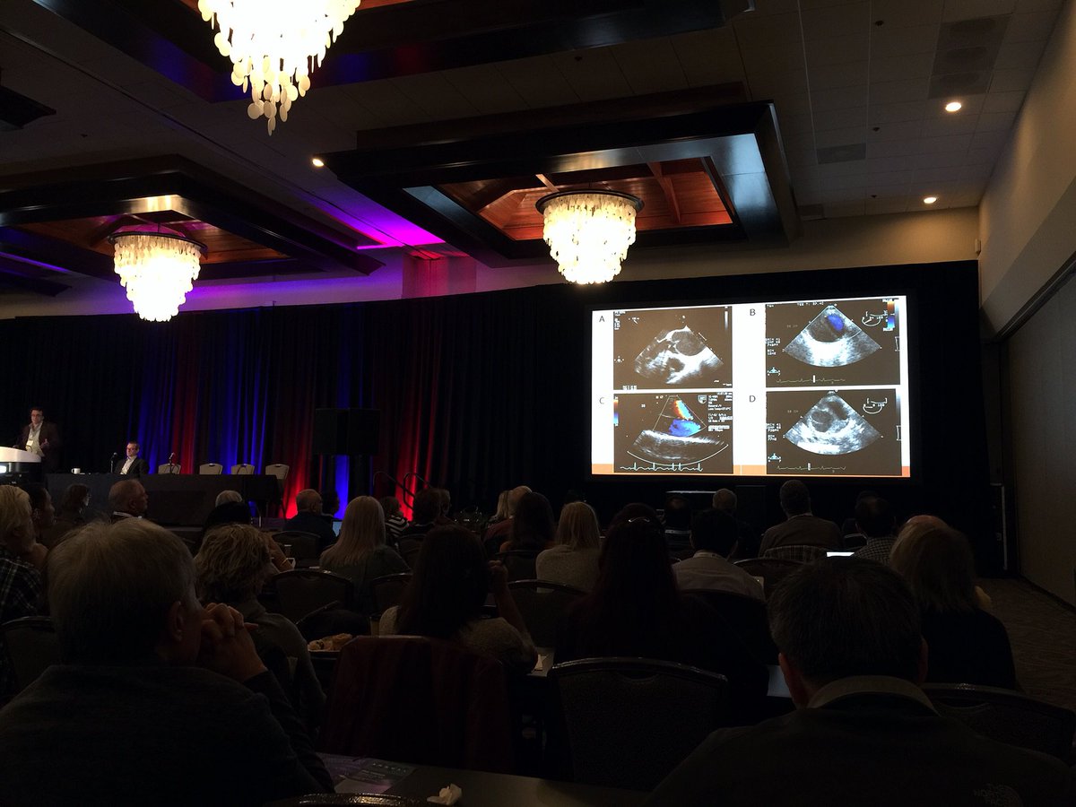echogenics's tweet photo. @ASE360 playing 3 of a kind what slide doesn’t belong? A very informative talk on #AorticDissection at #SotaECHO #ASE #ASE360 #SotaECHO18 #SanDiego #Echogenics https://t.co/zgWW6mUPaY