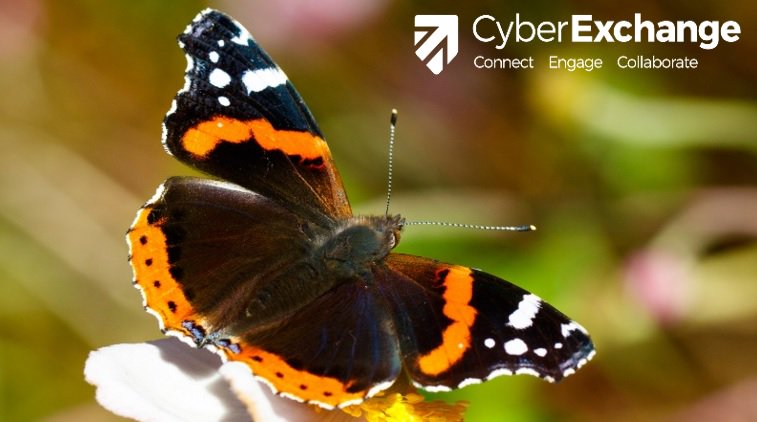 Cyber Exchange tweet media