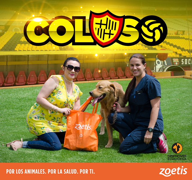BarcelonaSC's tweet photo. .@ColosoBSC92 esta listo para la cancha! 🐶⚽
La Dra. Pamela Salvador de Zoetis, le regaló vitaminas #ViSorbits que fortalecen sus huesos gracias a sus 18 vitaminas y minerales esenciales, con un sabor que le fascina.
#vitaminas #VisorBits #Rimadyl #ZoetisEcuador #Disprovef https://t.co/XqygDBFRAC