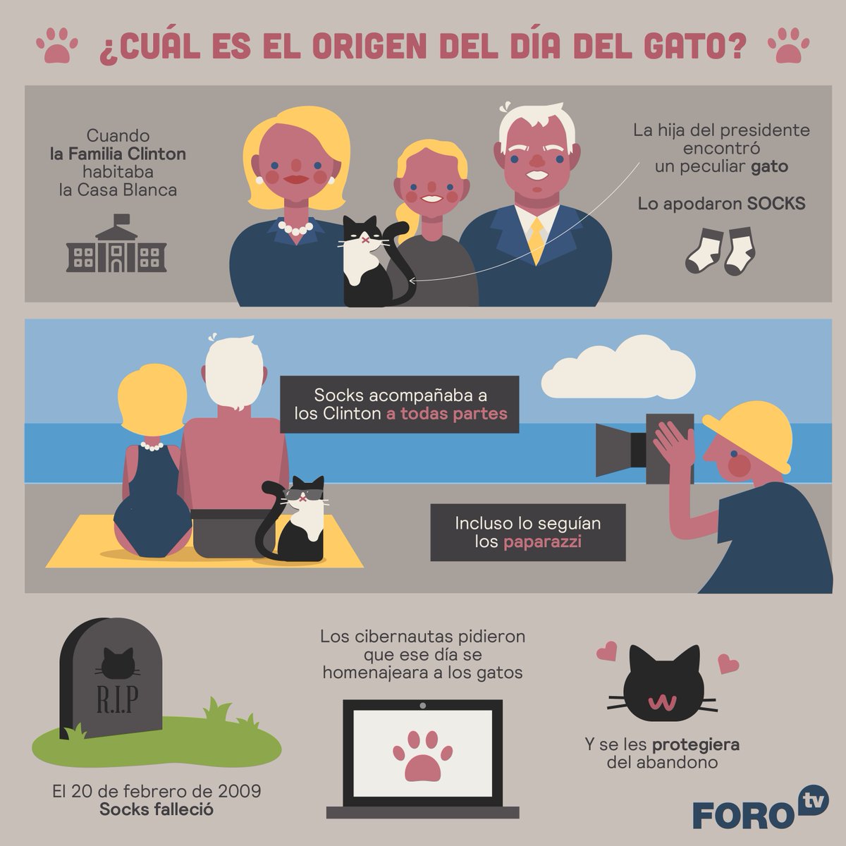 nmasforo's tweet photo. #DiaInternacionalDelGato Por si aún no lo sabías. Sí, hay un día dedicado a los gatos... es hoy y aquí te decimos su origen. https://t.co/o7Hl4CdAah