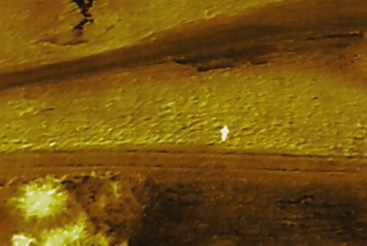 Wayne Township Fire Department tweet media