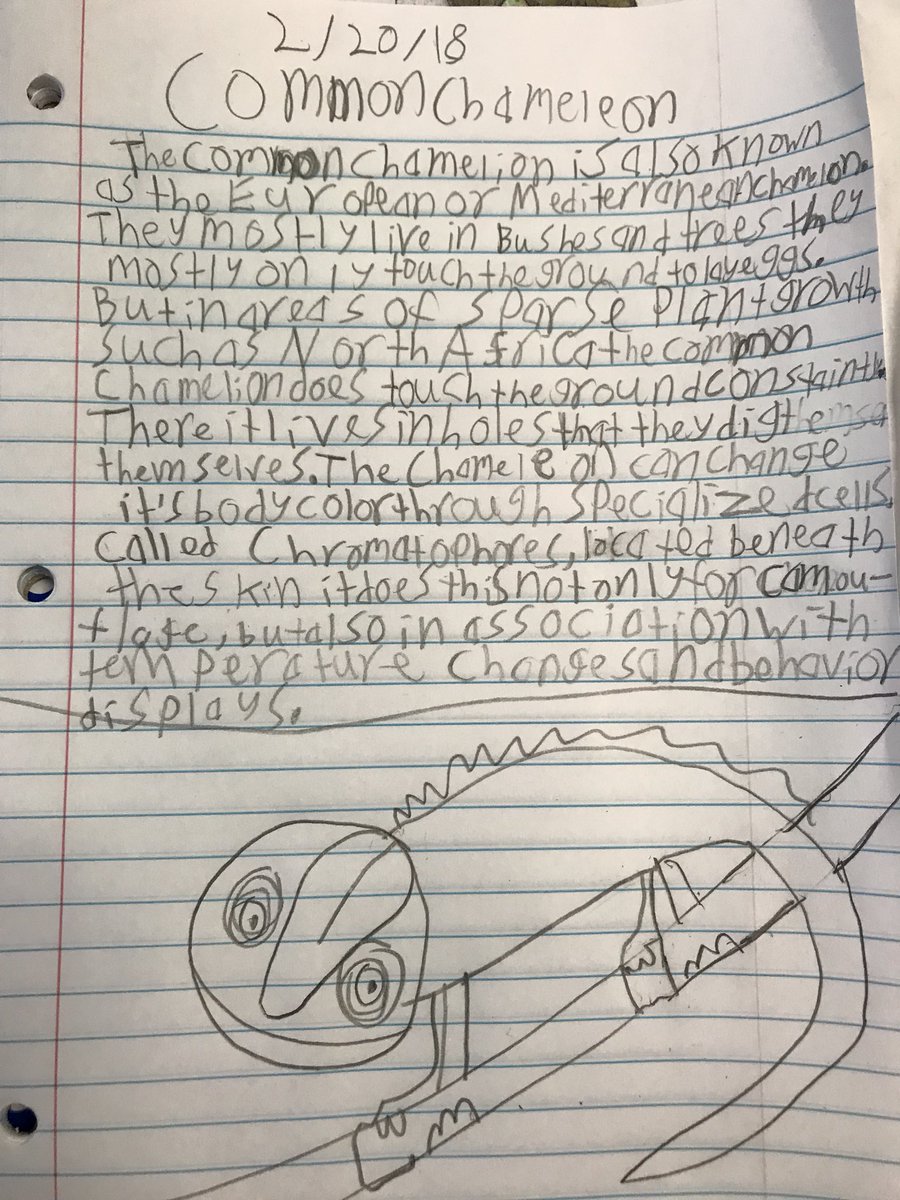 teamgraham211's tweet photo. STEAM lab reading about animals and responding. Check out this awesome chameleon! @davEDglenn @CastleHayneES #steam https://t.co/jvAe5MEI2L