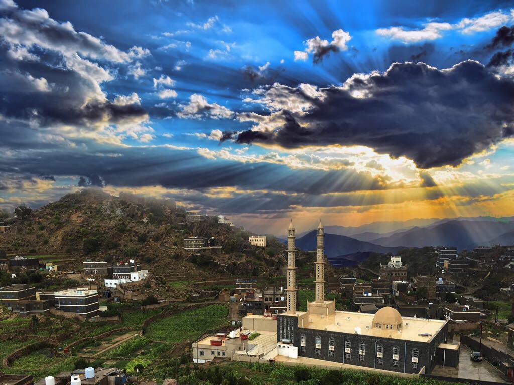 dehbash0 tweet picture