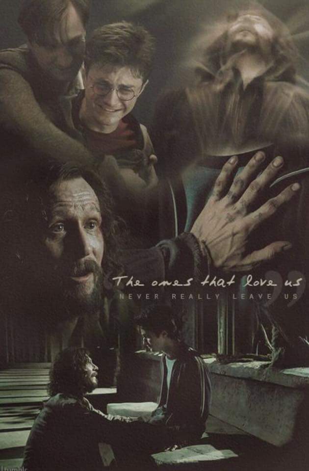 FabioFal10's tweet photo. Una delle scene più tristi.
Su le bacchette per Sirius Black!#HarryPotter https://t.co/dSZ0muzw9O