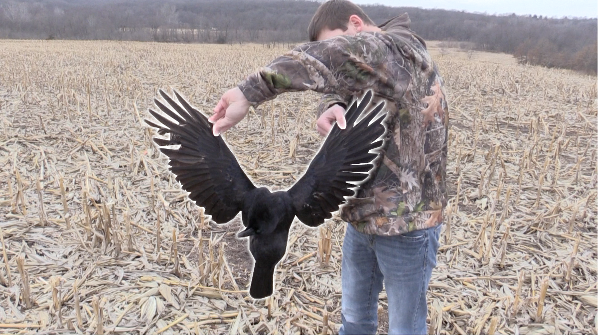 HorbachOutdoors's tweet photo. Our first crow hunting video is up, be sure to click the link to see how we did!

https://t.co/6scaf4F2qH https://t.co/rffyG7Dt9G