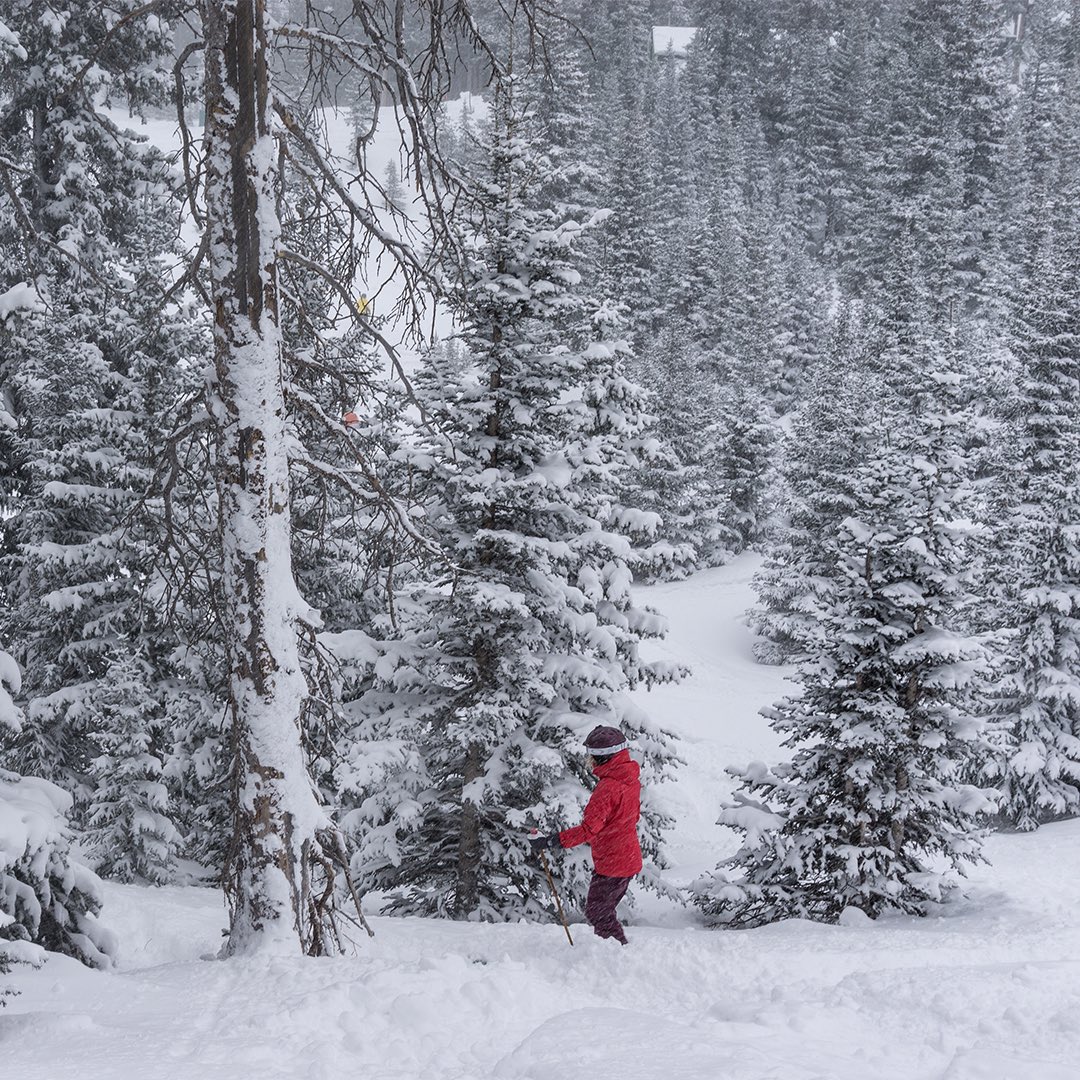 TaosSkiValley's tweet image. Scenes of winter. #powderalert we got 7” today!