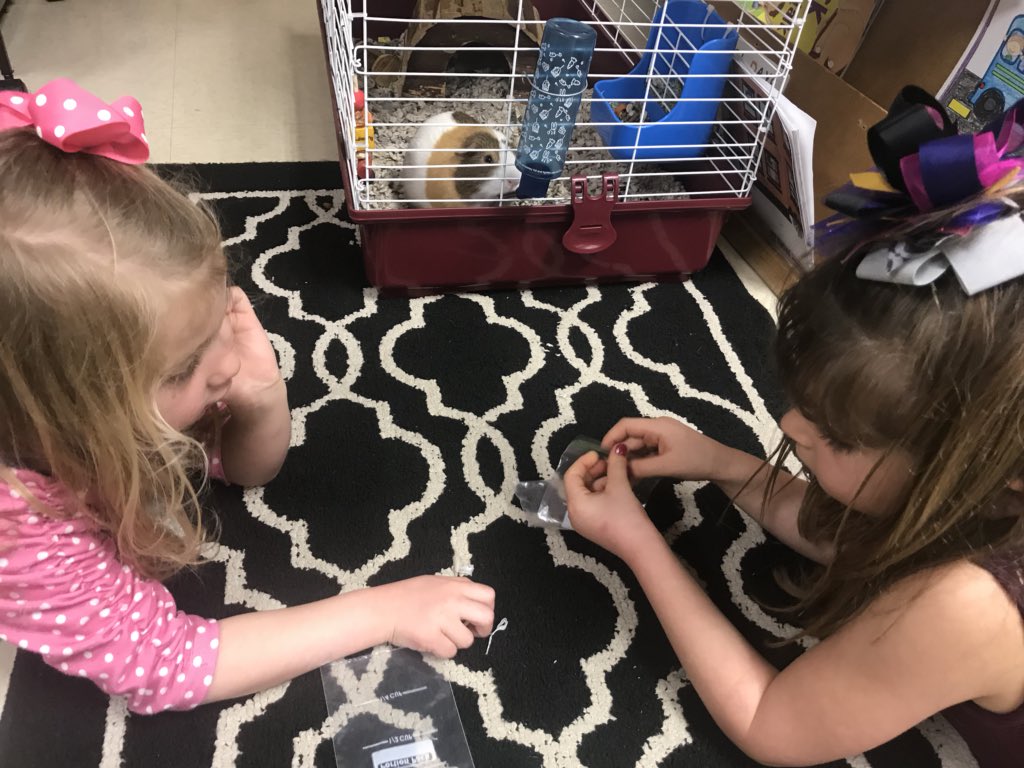 MrsKeensClass's tweet photo. “Guess my rock!” Identifying properties of our partner’s mystery rock. @WoodwayElem #1midwayscience https://t.co/W4KQUSLxz9