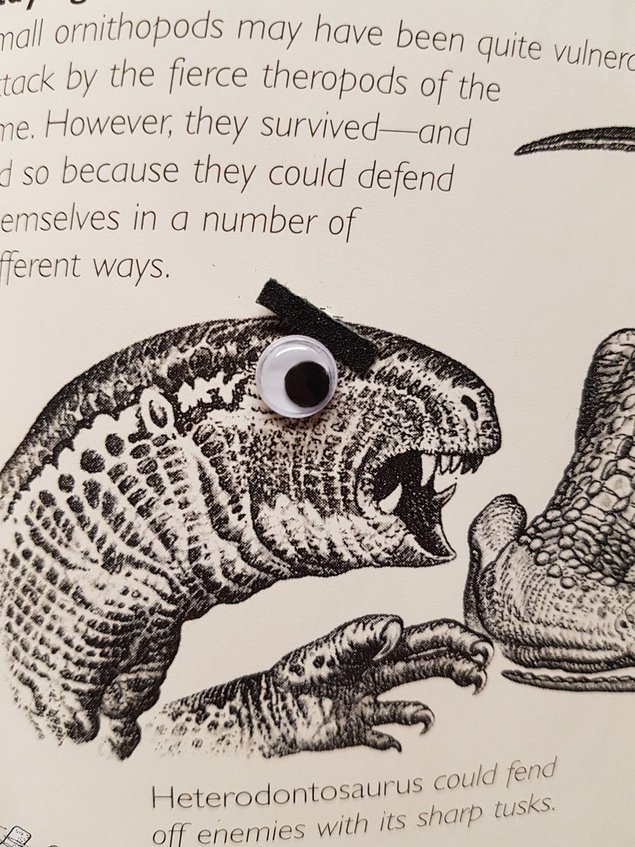 hattedhedgehog's tweet photo. Googly eyes add so much to dinosaur history https://t.co/lgsyyfJQtl