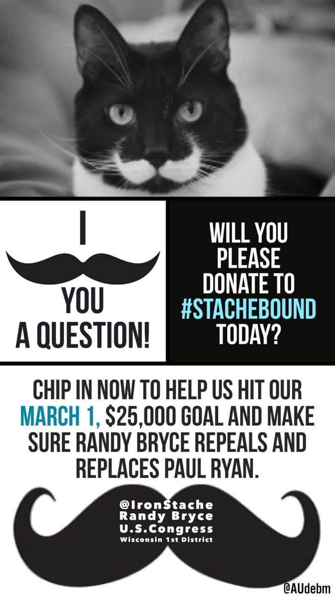 AUdebm's tweet image. Thread (Please RT) 

#TuesdayThoughts 

👨🏻I MUSTACHE You a Question! I can not SHAVE it for later. Will you please donate to the $25K #StacheBound Fund-RAZOR today?

👨🏽secure.actblue.com/donate/stacheb…
March 1 Goal! 
$1.50 or $101.50! 
Every $ helps #RemoveRyan 

 #FlipItBlue 
next👇🏻