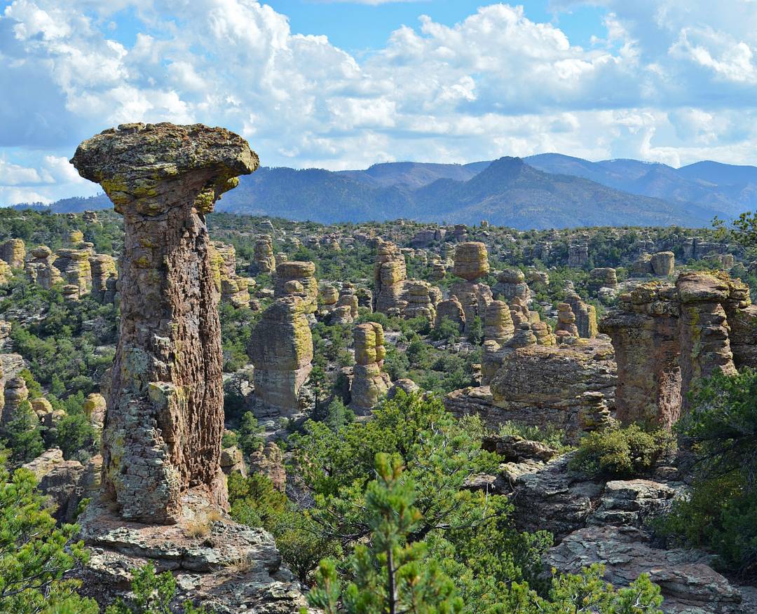 ArizonaTourism's tweet photo. Arizona's beauty is unsurpassable. https://t.co/IfRmOBSslf

📷: Instagrammer @_.live.laugh.lauren._ https://t.co/ZPQr8rZqdi