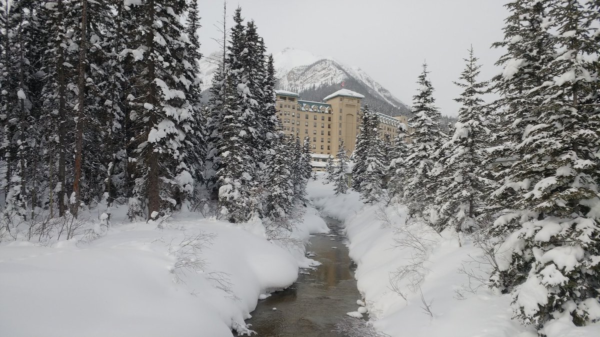 the_jackson71's tweet photo. Can this place get anymore stunning #LakeLouise #stunning #SoOn Love #WantToStayForever https://t.co/stR4S8DBe7