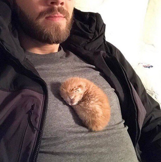 crazy_kutas's tweet photo. Если у меня есть душа, то выглядит она, наверное, так https://t.co/fOjDnvc5jx