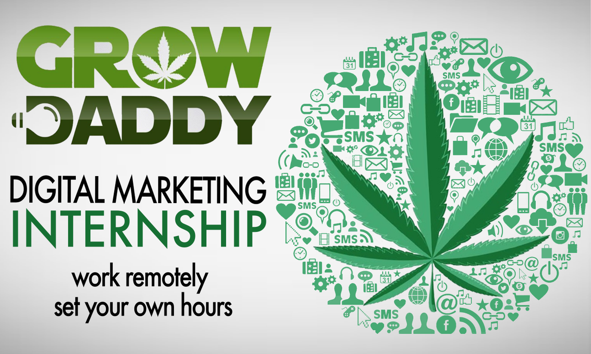 growdaddycanada's tweet photo. We're looking for home-growers that studied marketing and want to break into the cannabis industry. Retweet and tag someone you know that you think would be interested in this opportunity. 

https://t.co/S7fE5omBsJ https://t.co/KrF2xvrwzC