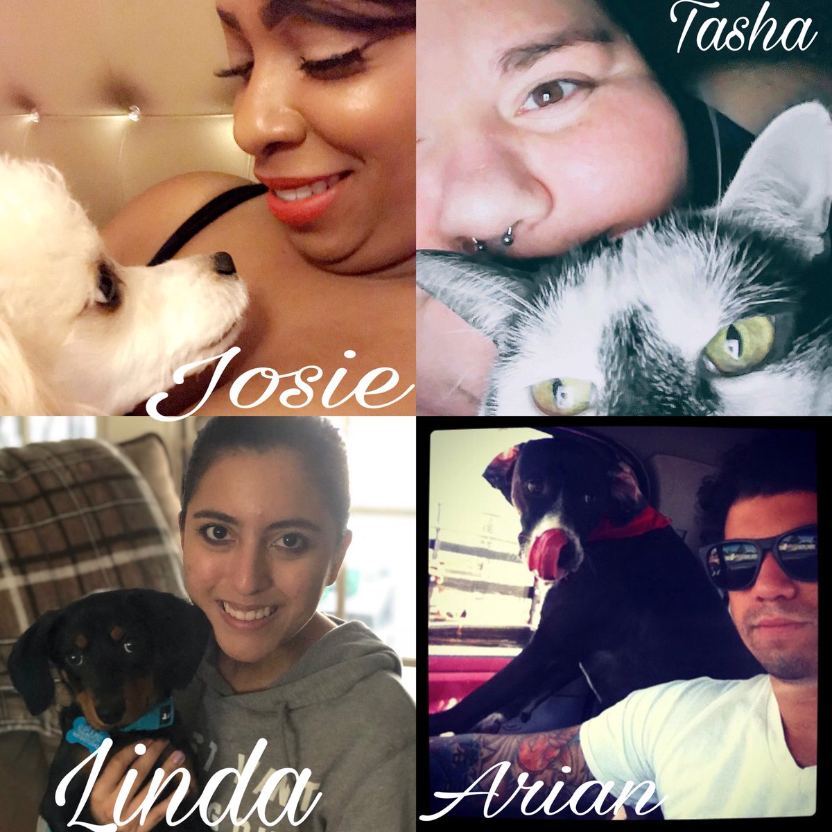 JalisaReed9's tweet photo. National Pet Day🐾 #PetDayOcalaFl#CultureCouncil#OneOcala#AT&amp;T#FunAtWork #WeLoveOurPets@WilliamATTKidd @TeamTugTitans @TeamTugTitans @DustyRhodesATT @cj5951Cat @carawfields @anthonyetuggle @OcalaSSIF @teamagonzocala https://t.co/ZmBBXOArQk