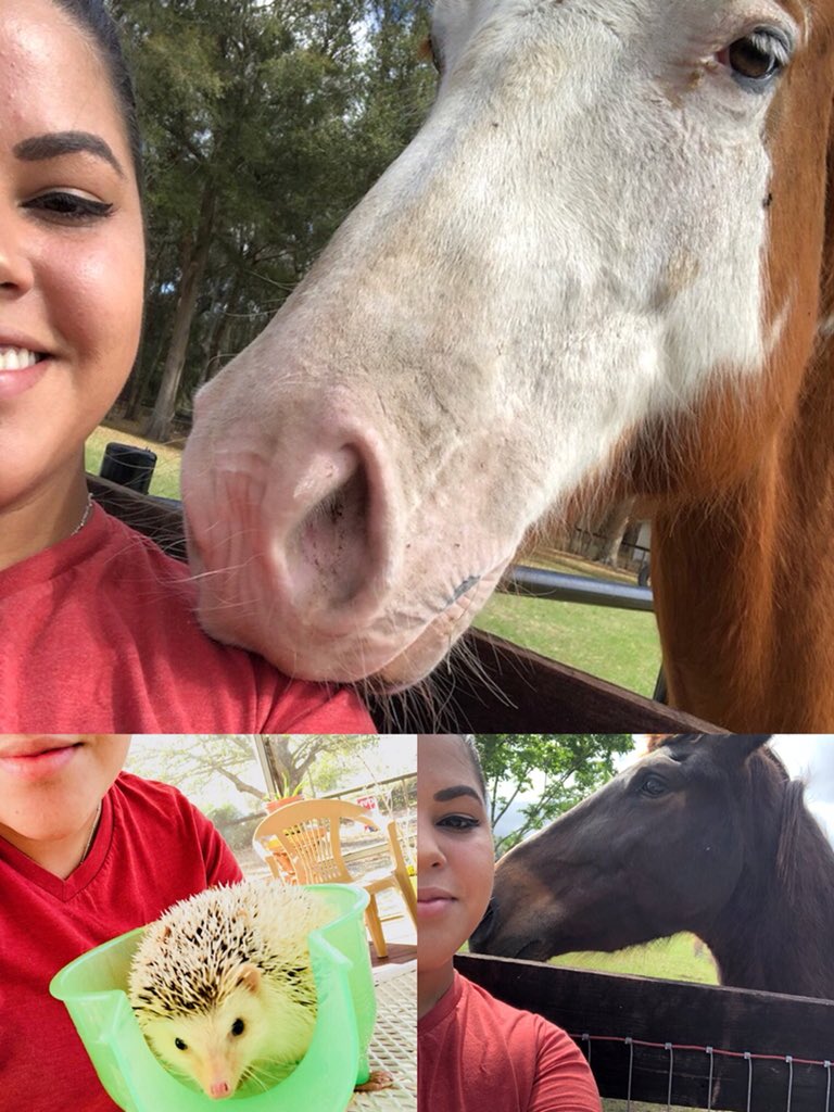JalisaReed9's tweet photo. National Pet Day ❤️🐾#PetDayOcalaFl#CultureCouncil#OneOcala#AT&amp;T#FunAtWork #WeLoveOurPets@WilliamATTKidd @TeamTugTitans @TeamTugTitans @DustyRhodesATT @cj5951Cat @carawfields @anthonyetuggle @OcalaSSIF @CatShea4 https://t.co/punF7YysG3