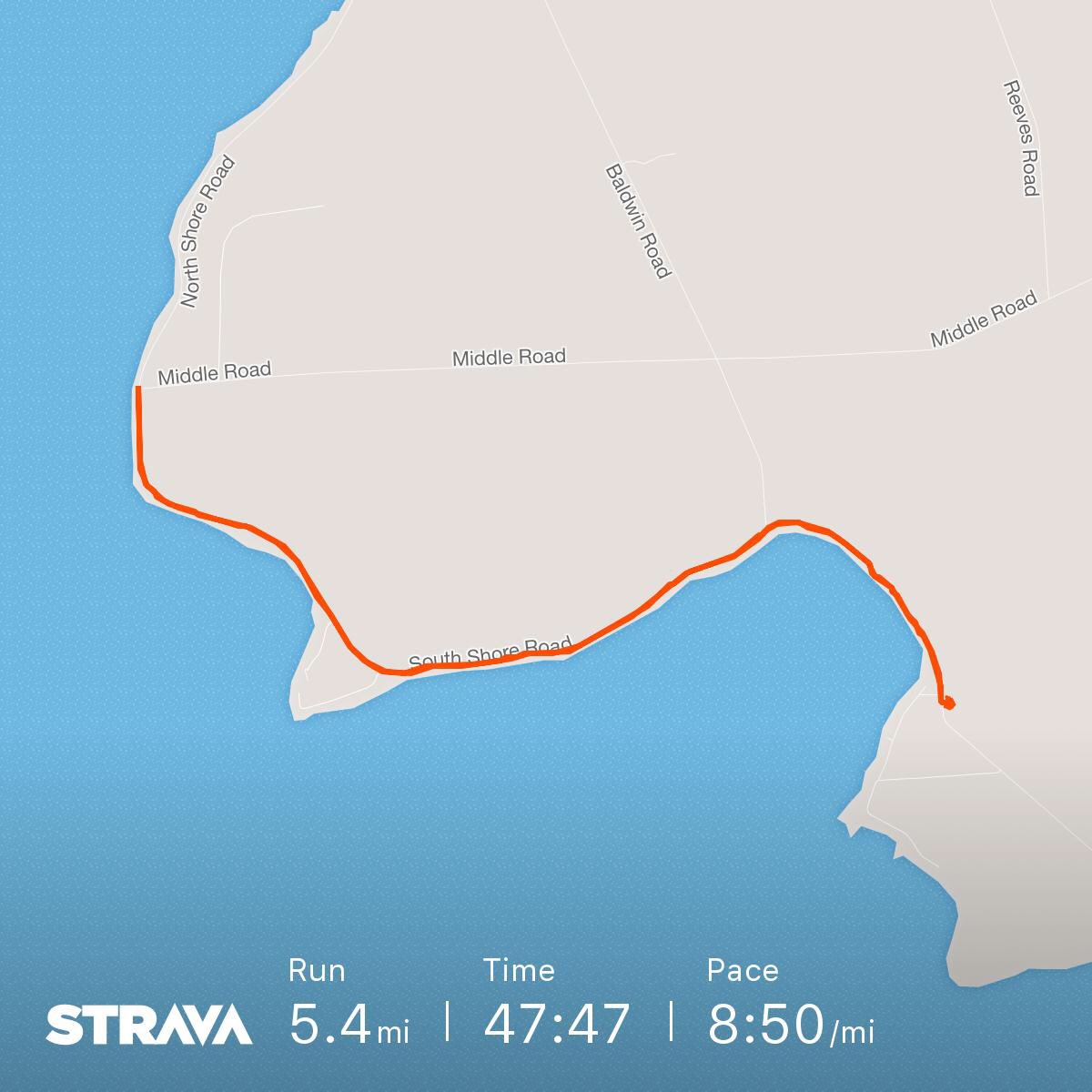 Steph Mizgala tweet media