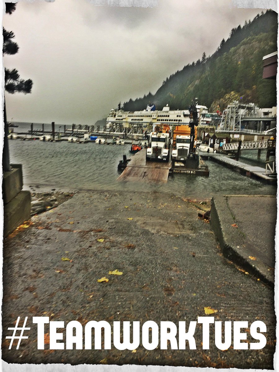 StandardTC tweet media