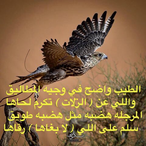 عبدالرحمن بن طواله v twitter الطيب واضح في وجيه المطاليق واللي عن الزلات تكرم لحاها المرجله هضبه مثل هضبه طويق سلم على اللي لا بغاها رقاها https t co etyprrujgm twitter