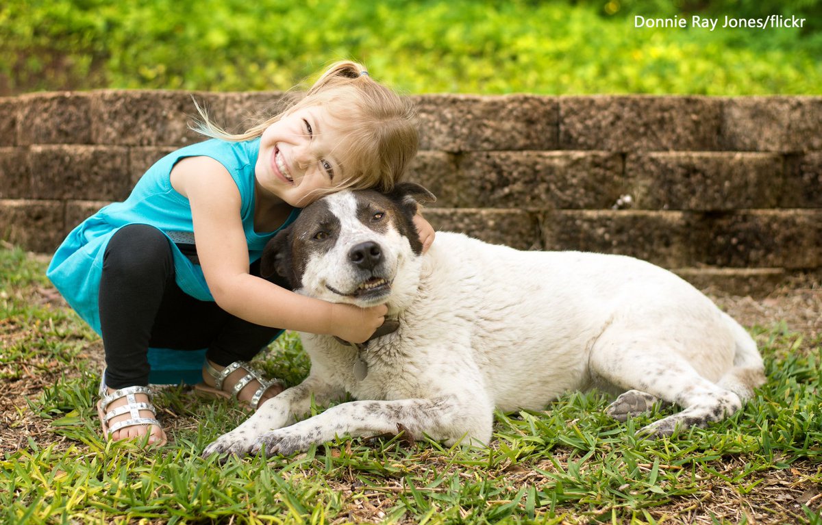 Teen pet. Завести питомца. Общительность животных. Домашний питомец для занятых людей. Hugging Dog.