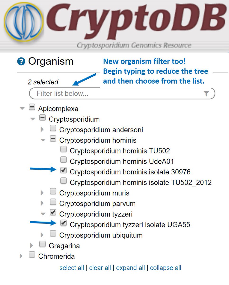 veupathdb's tweet image. #CryptoDB release 36 has two new annotated genomes to explore!  C tyzzeri isolate UGA55 and C hominis isolate 30976.  This search returns signal peptide containing genes in these organisms.
cryptodb.org/cryptodb/im.do… #cryptosporidiosis