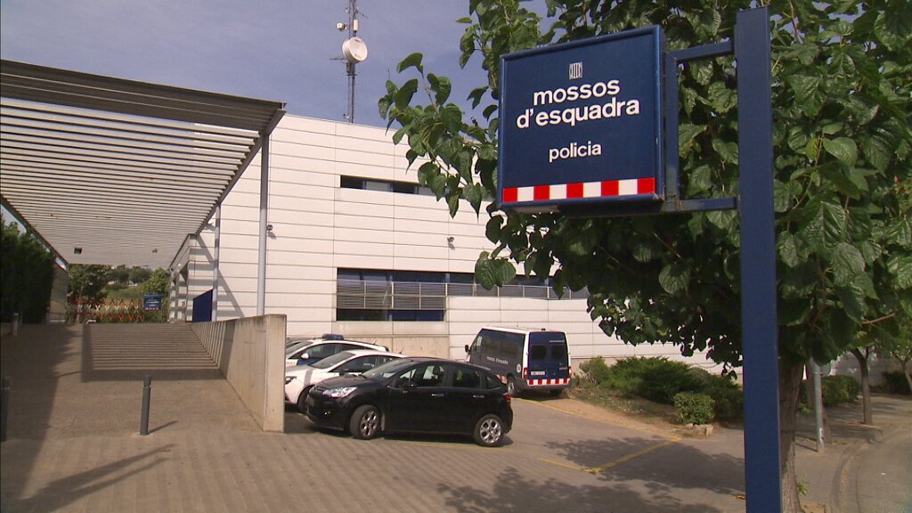 3CatInfo tweet media