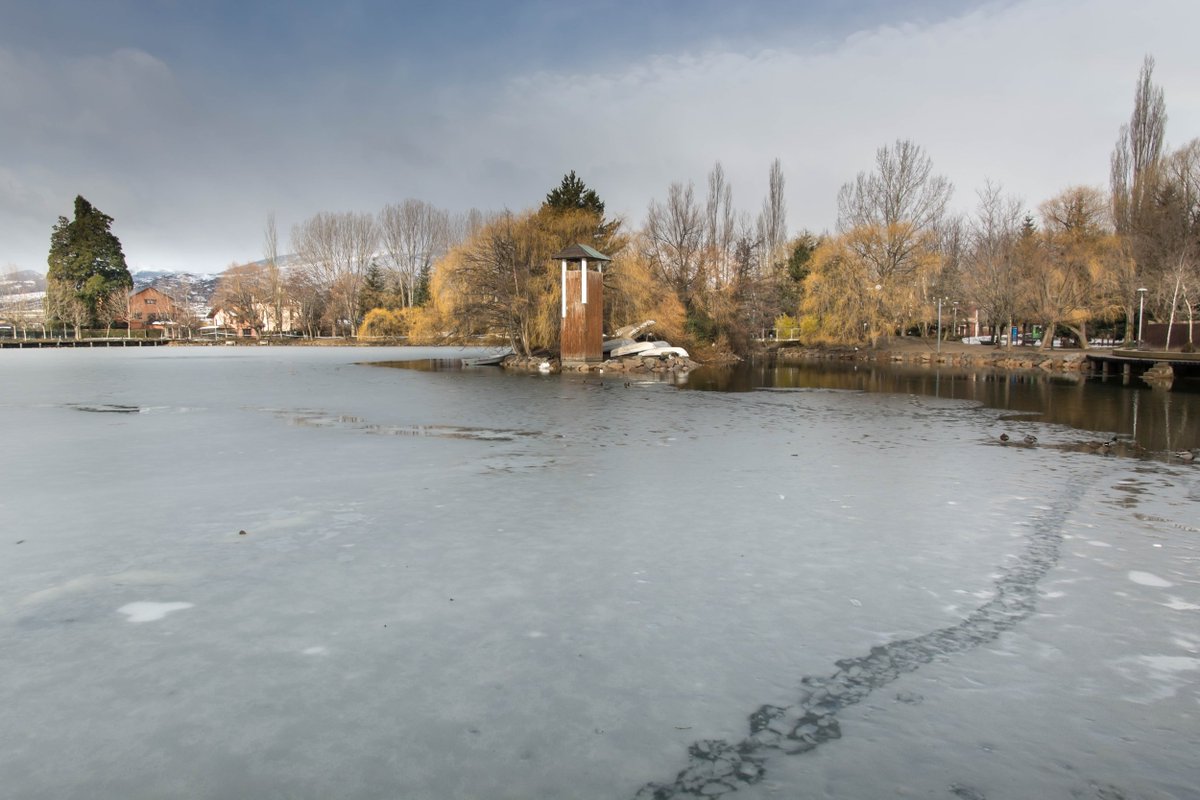 3CatInfo tweet media