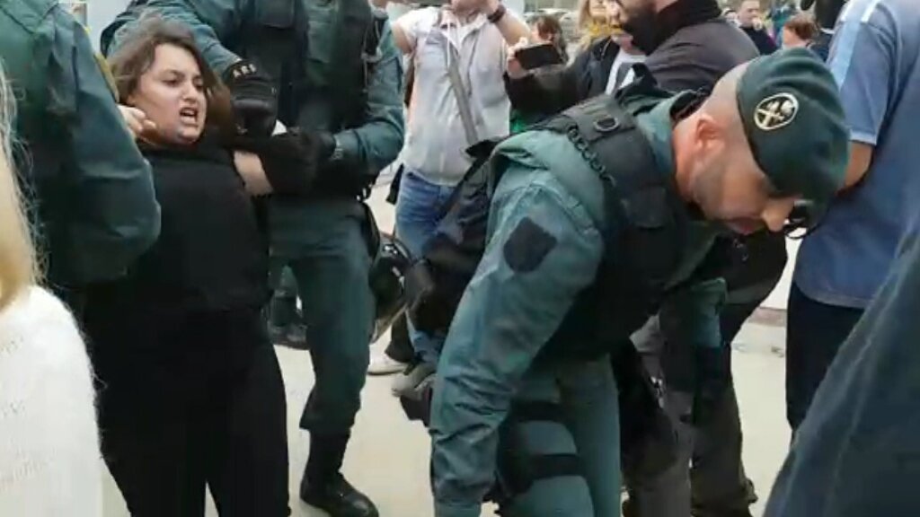 3CatInfo tweet media