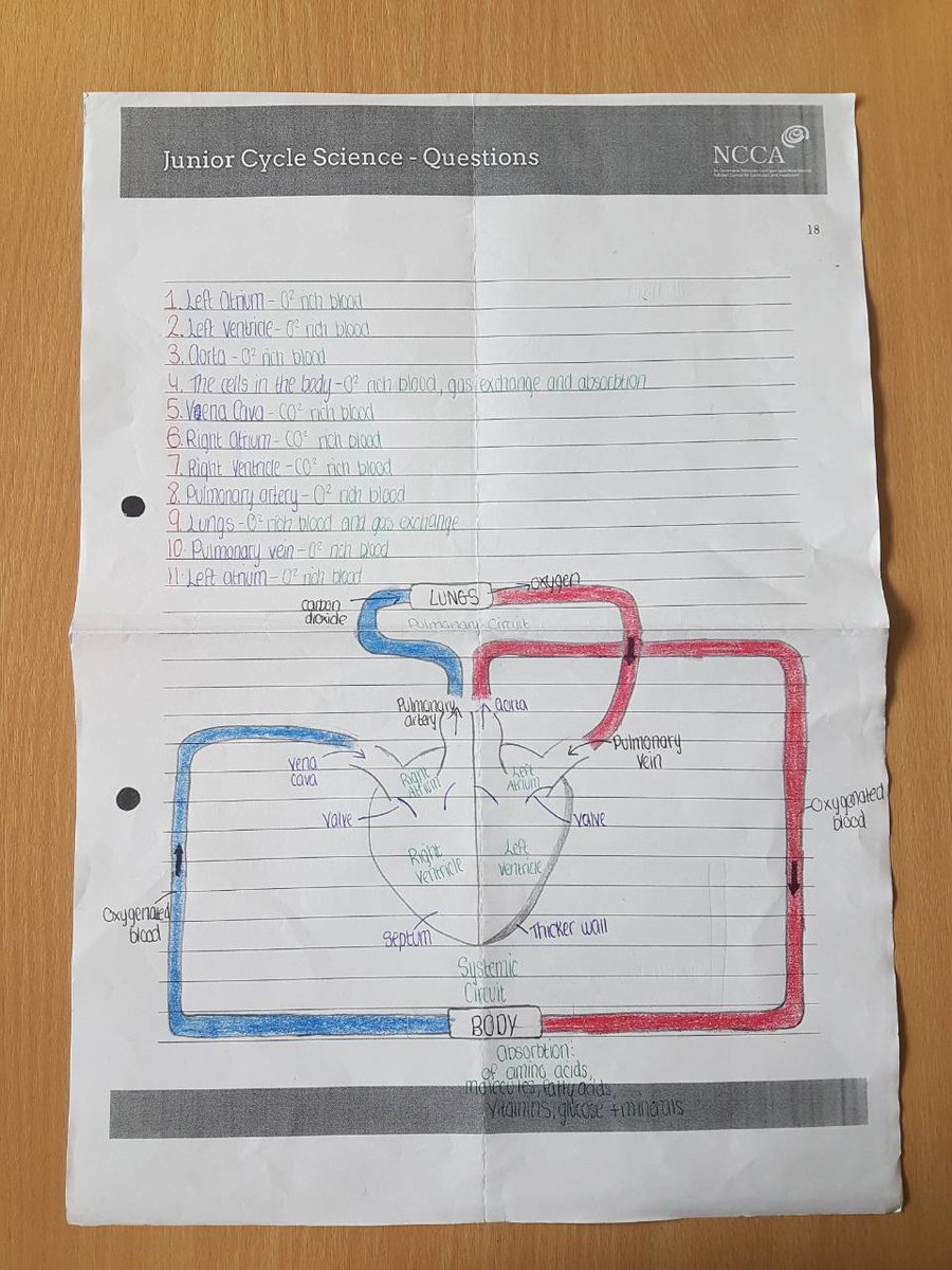 msbolandsbytes's tweet image. Highly recommend accessing @NCCAie sample questions for #JCScience. Great pair-work today having looked at Biological World LO 4 💁‍♀️💁‍♀️ @JctScience