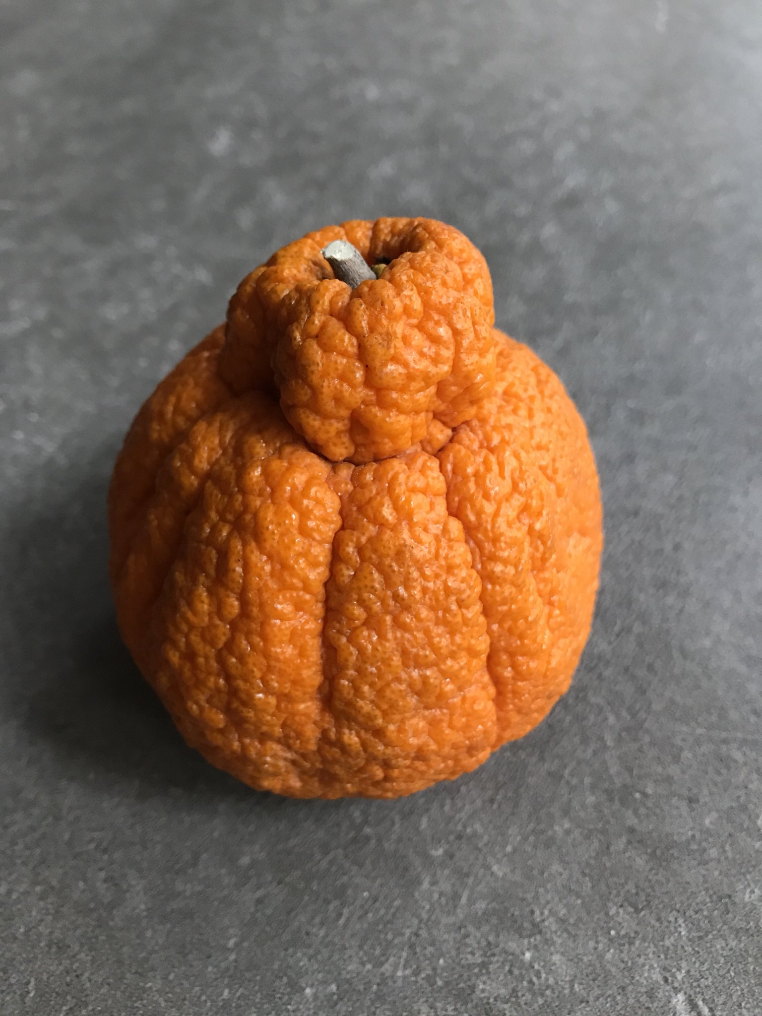 G1 tripleWRECK on X: These ugly Sumo oranges are the sweetest