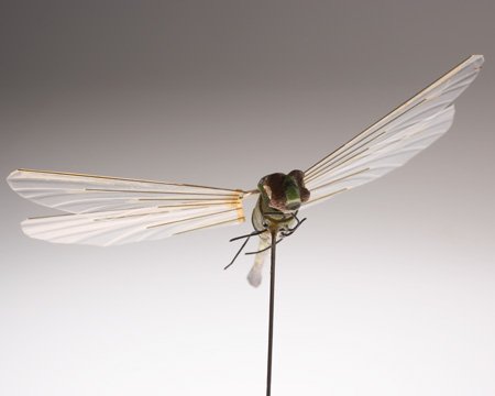 CIA's tweet image. CIA #Museum Artifact of the Week: Insectothopter

It’s a dragonfly! It’s a listening device! It’s Insectothopter!

Developed in the 1970s, our micro unmanned aerial vehicle (UAV) was the 1st flight of an insect-sized vehicle.
1.usa.gov/1vPtBKG
#engineersweek