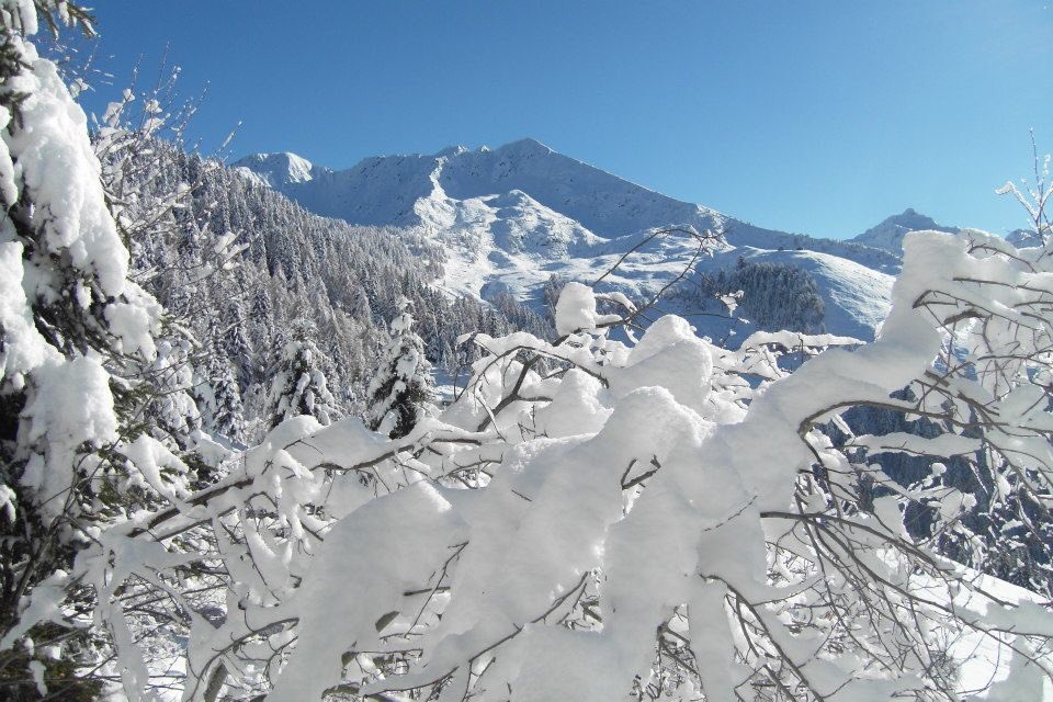Silve59's tweet photo. La mia valle. #Albaredopersanmarco https://t.co/Tfdq8ltH2R
