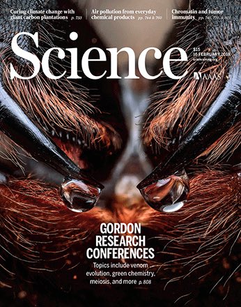 scimaven's tweet photo. Q: #ToxinTuesday and I’m doing amazing #VenomResearch, how can I share with the world? 
A: Apply for a @nature fellowship to go to @grcvenom conference on cover of @sciencemagazine! #earlycareer @GlobalYAcademy @IAPartnership @TWASnews @NextEinsteinFor https://t.co/UsUvzUNOJ0 https://t.co/41hW7PFAB4
