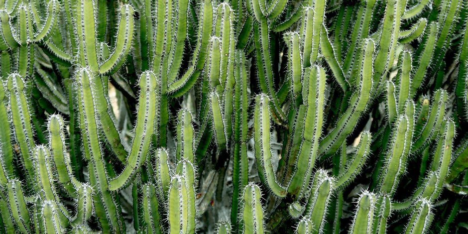 hootsuite's tweet image. Want to make sure that your LinkedIn content appears in as many feeds as possible? (Of course you do.) Here's how the LinkedIn algorithm works: ow.ly/XzEK30iuESd