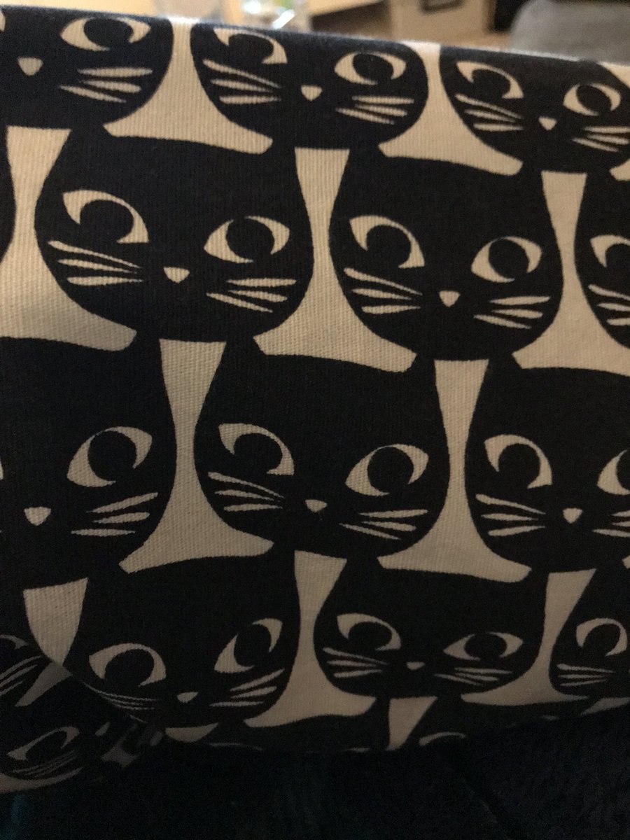 Yeeesssss Indian journalists on #FlatpackEmpire my cushion was also an impulse buy... 😻😻😻

#CatCushion