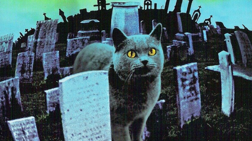 SlashHerFilms's tweet photo. Happy #LoveYourPetDay! Shout out to all the pets from #horror! #petsematary #cujo #gremlins #HorrorMovies #alien https://t.co/YP2Jkk79Px