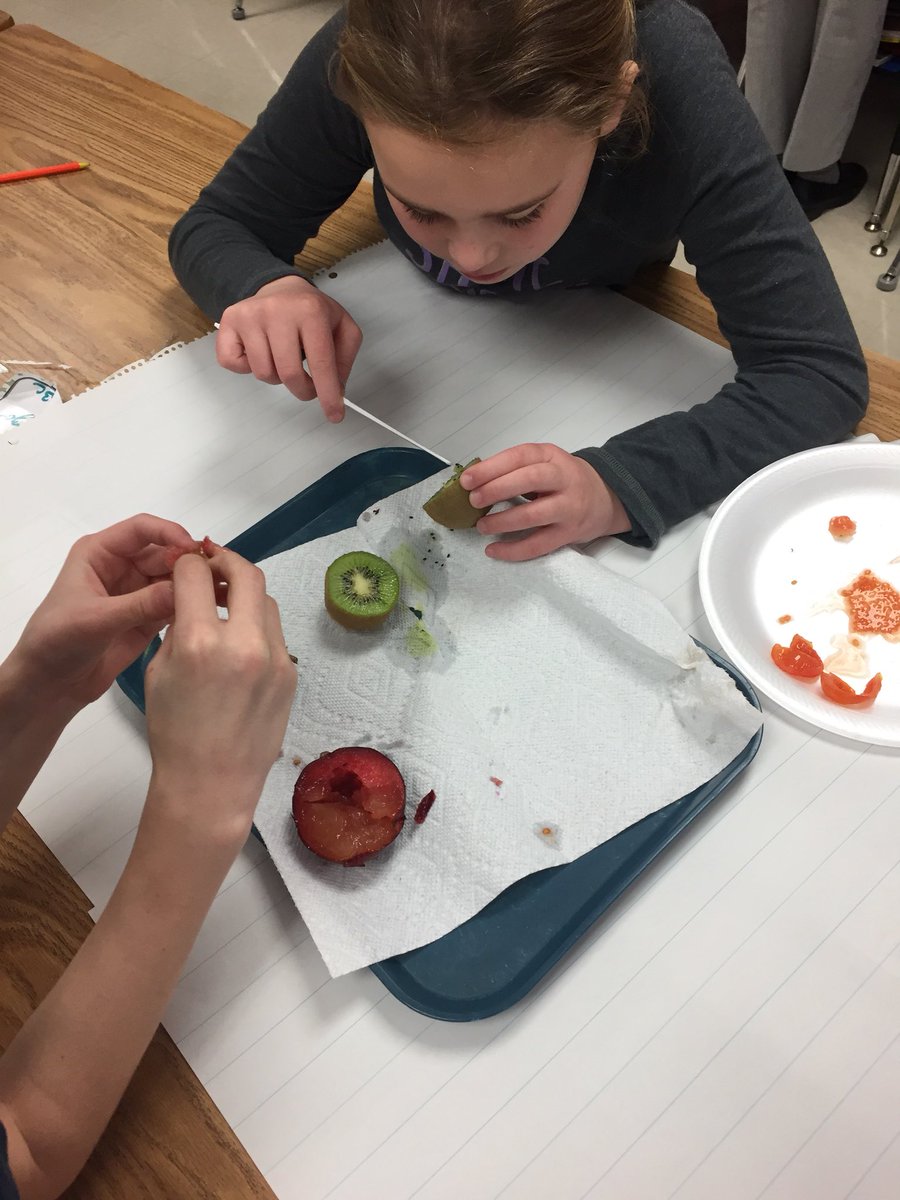 mrs_dinkel's tweet photo. How are seeds alike and different? #FOSS475 #GallopWithTheStallions https://t.co/8xz1jQeur8
