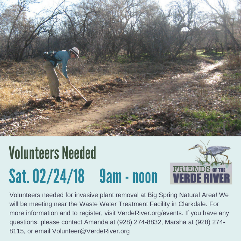 VerdeFriends's tweet photo. Want to get outdoors this weekend? Join our awesome group of volunteers to remove invasive plants from along the #VerdeRiver in Clarkdale this Saturday, from 9 am - noon! Learn more and register at https://t.co/9FpCwh1AtW. https://t.co/gNjnZZmnYU