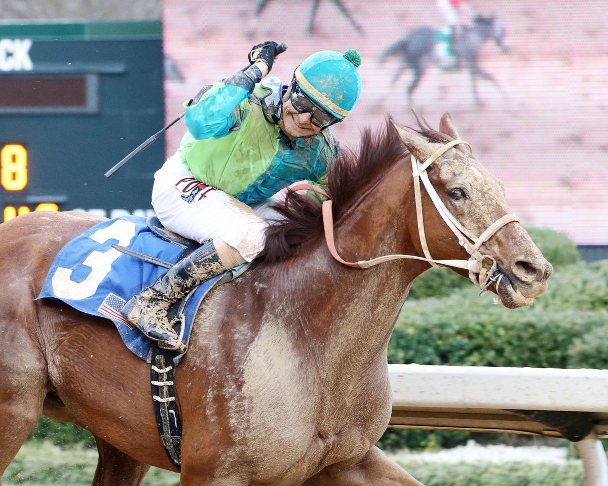 BloodHorse's tweet photo. The Week in Photos: Risen Star, Barbara Fritchie, Rachel Alexandra, Buena Vista, General George and more! https://t.co/S0LyFKFFoM #TheWeekInPhotos https://t.co/Le4N9jTyqS