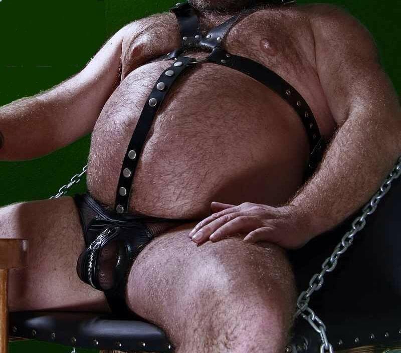 Gay Bear Bound Hairy Man Full Rope Harness.