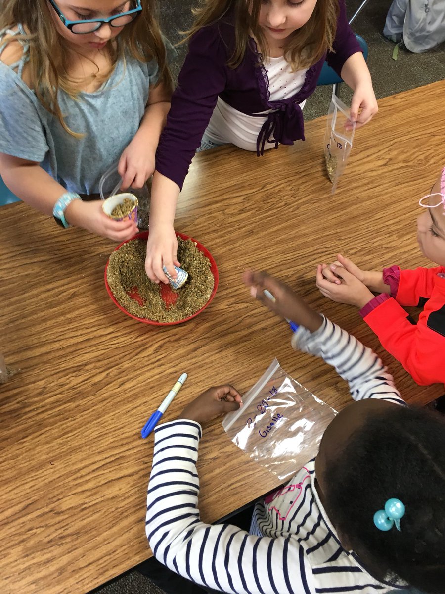 GibbyShane's tweet photo. @UnionvilleES 1st & 2nd graders prepping native seed for pretend winter with @SycLandTrust #NativePlantProject #INPAWS @MCCSC_EDU @ChildrenNature #adaptations #greenschoolyards #literatureconnections #PlantAPocketofPrairie https://t.co/mlCgjVH3Em