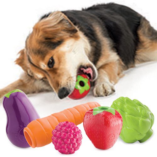 Dog Wiki tweet media