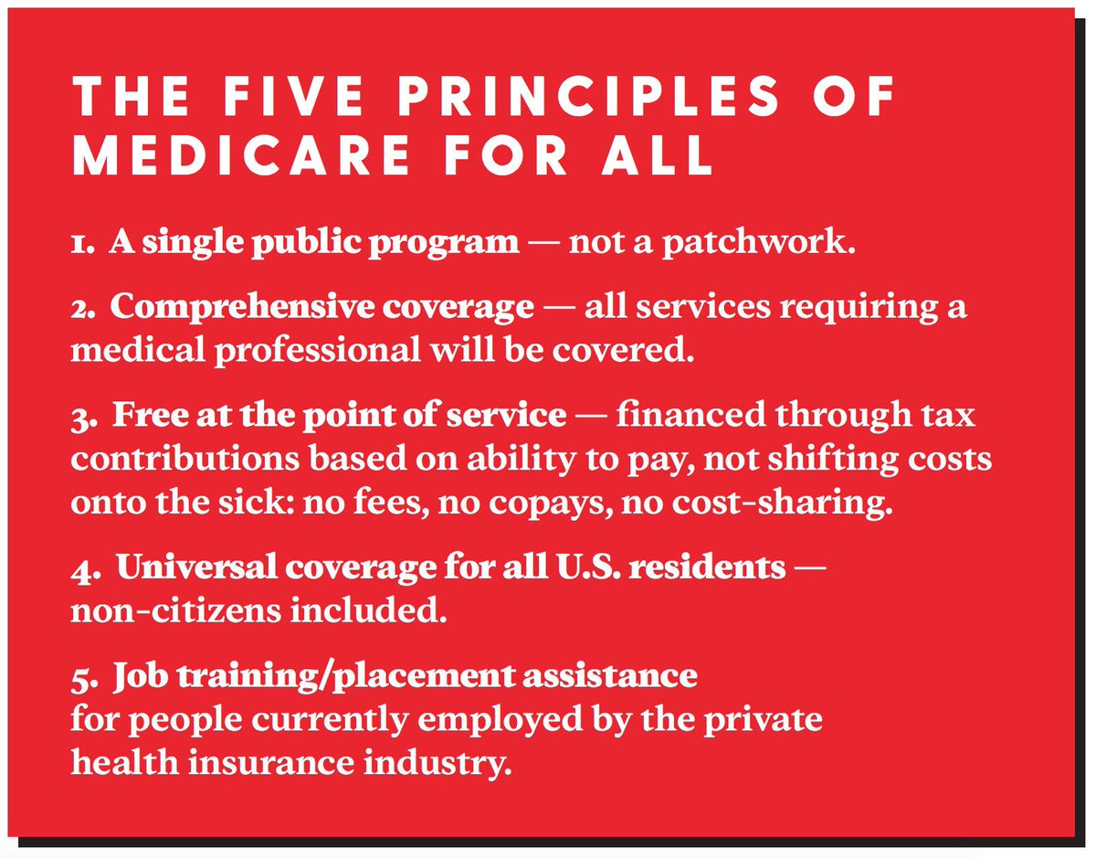 five principles: a single program; comprehensive coverage; free at point of service; universal (non citizens included); and a jobs program for those affected by the transition